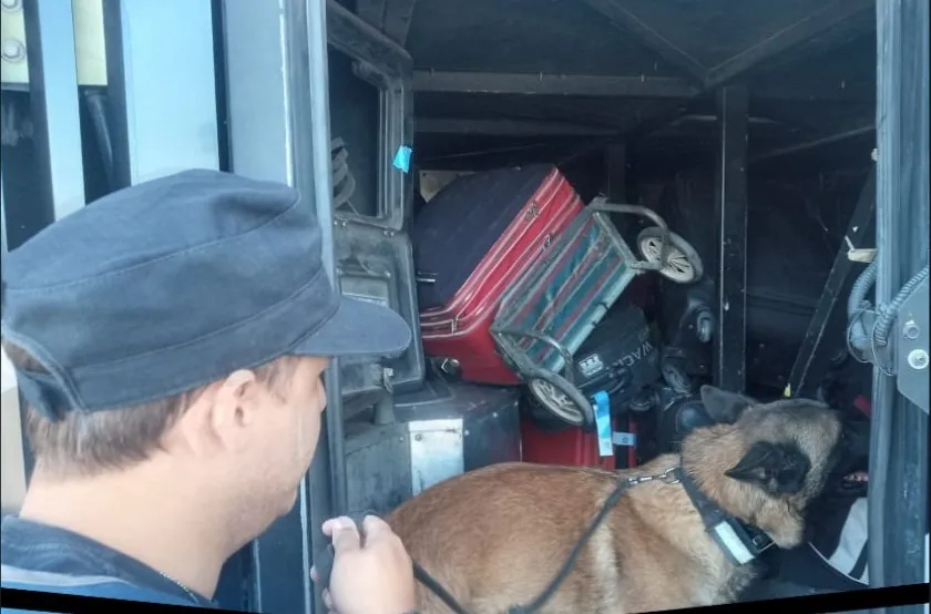 Buscan drogas con un perro policía