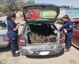 Una pareja detenida por robar hierro de construcción