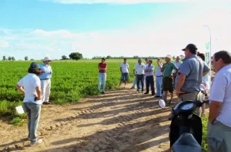 Un programa nacional histórico de promoción agrícola se discontinuó en San Juan