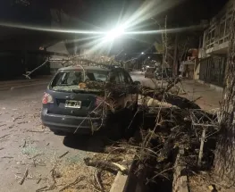 El Zonda ya sopla con fuerza en Mendoza: corte de luz, árboles caídos e incendios