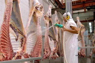 Las exportaciones de carne vacuna crecieron un 23%