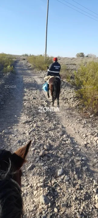 busqueda en ullum