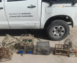 Siguen los controles de Flora y Fauna en San Juan