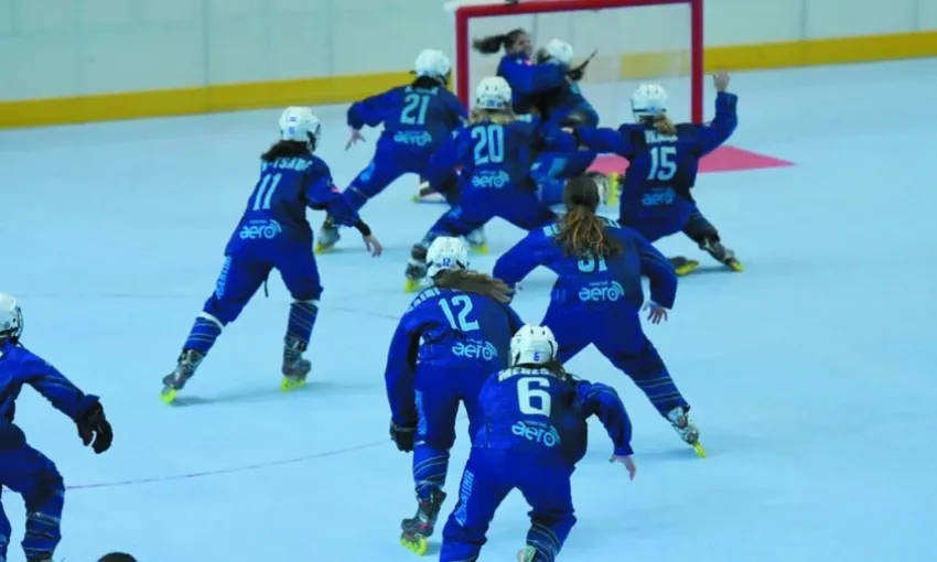 Argentina Es Semifinalista De La Disciplina Hockey En Línea El Zonda 4297