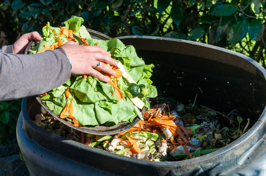 Cómo hacer compost con residuos orgánicos