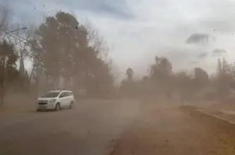 Alerta total: la primavera llega con tremendo Viento Zonda