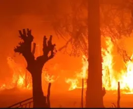 Por el Zonda, ya se registran varios focos de incendio en el interior de la provincia