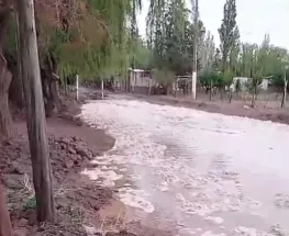 Otra vez cae creciente en Barreal